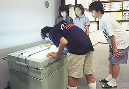 昆虫を拡大して見てみよう